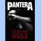 Steag PANTERA - Vulgar Display Of Power